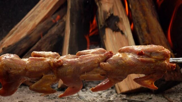 Close-up of raw marinated quail on the skewer are placed above the open fire outdoors