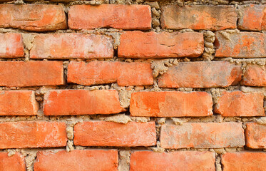 Obraz premium Red brick wall. Texture of old dark brown and red brick wall background.close up shot