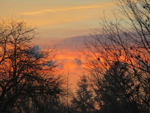 sunrise over the trees