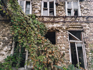 An old brick abandoned deserted house with broken windows in a wooden frame and growing creeping hops after the destruction and war.
