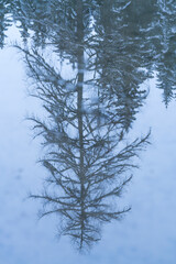 Lago Braies, Dolomites, Unesco World Heritage Site, Italy, Europe