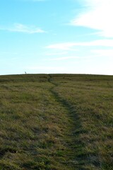 view behind the footpath rising autumn meadow to the horizon with blue sky and white clouds, Karvina, Northern Moravia, Czech Republic