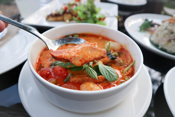Roasted Duck Red curry or red curry with roasted duck, duck curry