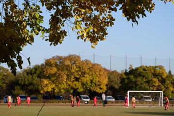 川のある公園の紅葉
