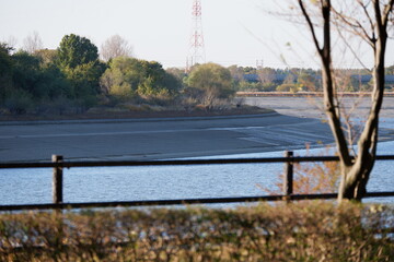 川のある公園の紅葉