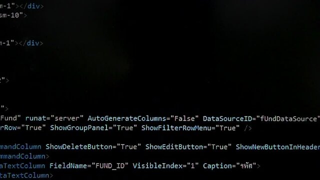 Web, application and software developement. Programming code on a monitor.