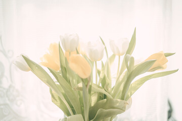 beautiful bouquet of tulips green stems yellow and white flower buds