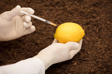 Lemon with syringe in gloved hands, genetic engineering laboratory, transgenic food...