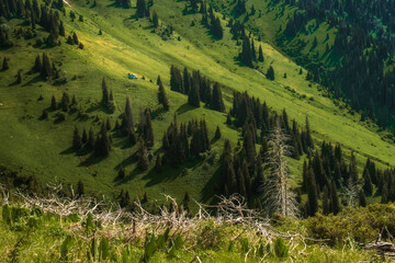 small  blue house on the slope of the ridge high in the mountains in summer