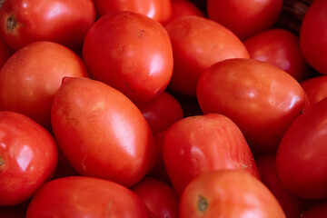 Plano detalle de muchos tomates frescos orgánicos