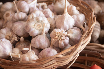 Cesta de ajos orgánicos frescos 