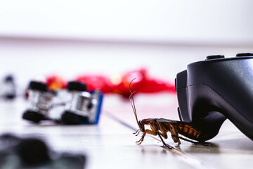 American cockroach, American Periplaneta, messy children's room. Pest concept indoors, pest control