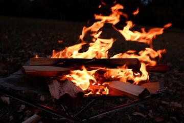 焚き火　薪と炎