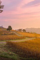 Oltrepo pavese countryside at sunrise with pink clouds and foliage vineyards
