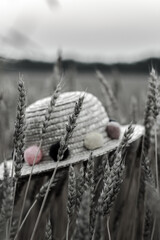 A little straw hat  with colorful soft balls in the wheat field and sky in the baxkground close up  toned