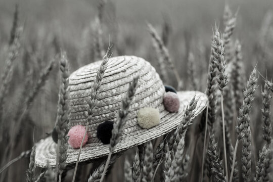 A little straw hat  with colorful soft balls in the wheat field c;pse up toned