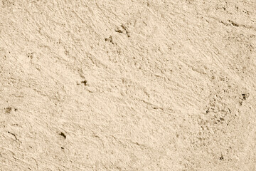beige background - trend color 2021-set sail champagne surface