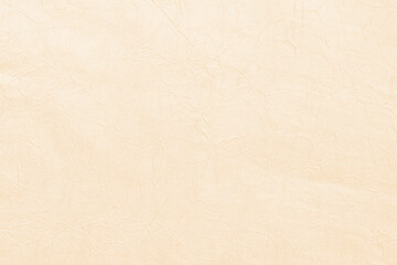 beige background - trend color 2021-set sail champagne surface