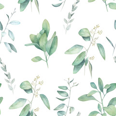 Watercolor seamless pattern witn eucalyptus branch. Hand drawn illustration. Floral background