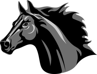 Horse, portrait, white, black, vector, graphics, drawing, picture, stylization, image, isolated, illustration, gray, shades