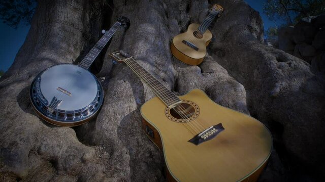 Bluegrass & country instruments under an olive tree