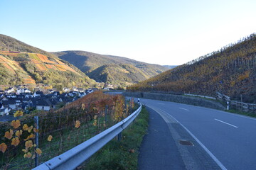 kurvige Straße durch die Weinberge ins herbstlich bunte Ahrtal bei Dernau