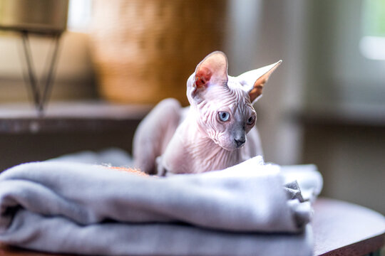 Loic Bourgeois Photos Images Assets Adobe Stock Loic Bourgeois Photos Images Assets Adobe Stock