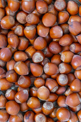 Stack of hazelnuts. Hazelnut background, selective focus