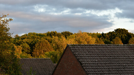 Fototapeta na wymiar Landscape with roofs and colourful forest at sunset, Coventry, England, UK