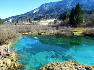 Fototapeta na wymiar green colored lake Zelenci