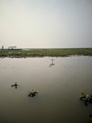 A scenic photo of Chilika lake in Odisha, India.