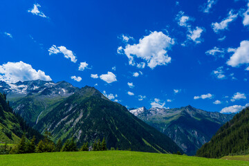 Obraz premium Summer alps landscape with flower meadows and mountain range in background. Photo taked near Ahornspitze, Austria, Hohe Tauern Austrian Alps, Europe