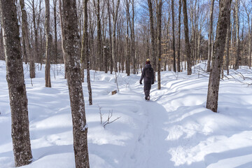 Women hiking in the forest of Mont Orford National Park in Quebec during winter. 