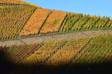 herbstlich buntes Ahrtal bei Dernau