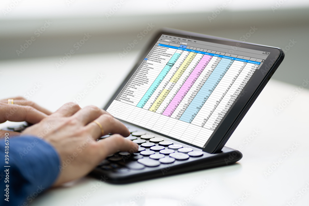 Poster Working With Digital Software Spreadsheet Report