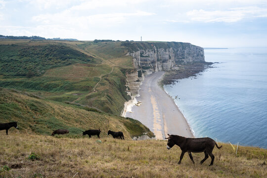 Vue panoramique sur la plage du Tilleul en Normandie