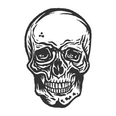 Vintage Hand drawn Human Skull