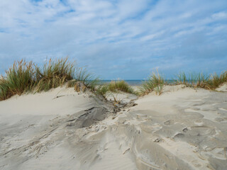 Fototapeta na wymiar View over the dunes of Ameland, Holland