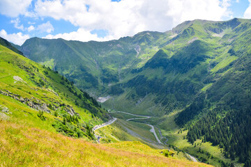 Fototapeta premium Transfagarasan Road , Romania 