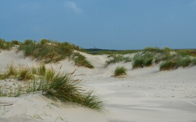 View over the dunes of Ameland, Holland