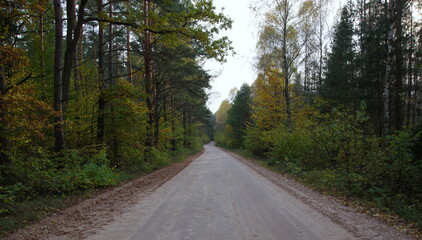 Fototapeta na wymiar typical road in podlasie (poland)