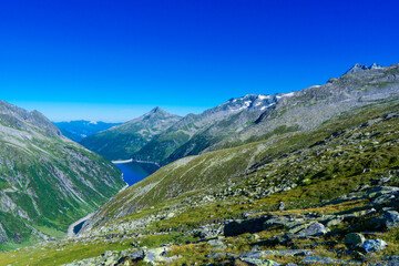 Panoramic view with sunrise on idyllic mountain backdrop in the Alps with fresh green meadows in summer Stange near Zillergrundl. Austria Zillertaler Alpen tirol