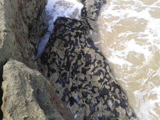 Lonely beach in Bahia - BA