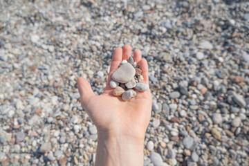 Multicolored sea stones on a woman's palm against the background of a pebble beach