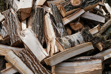 firewood log texture in nature