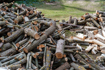 firewood log texture in nature