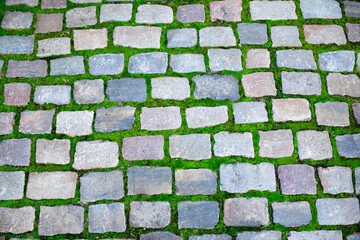 Granite paving tiles covered with green moss, beautiful background for decoration. Overhead view of cobblestone street texture with grass. Stone pavement texture, soft focus. 