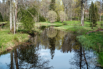 Obraz premium blue sky reflections in clear water pond with spring trees and mirror water