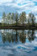Obraz premium blue sky reflections in clear water pond with spring trees and mirror water