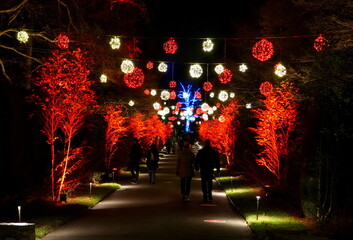 Trees and path decorated with red and yellow Christmas lights